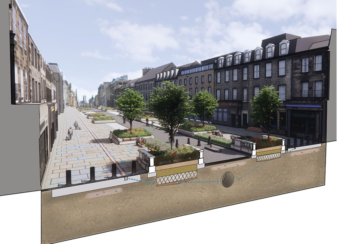 A computer generated image showing a cross section of the street with trees and plants, new pavements and how the water will drain.